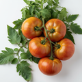 Pineapple tomatoes