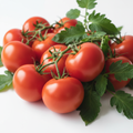 Money Maker tomatoes